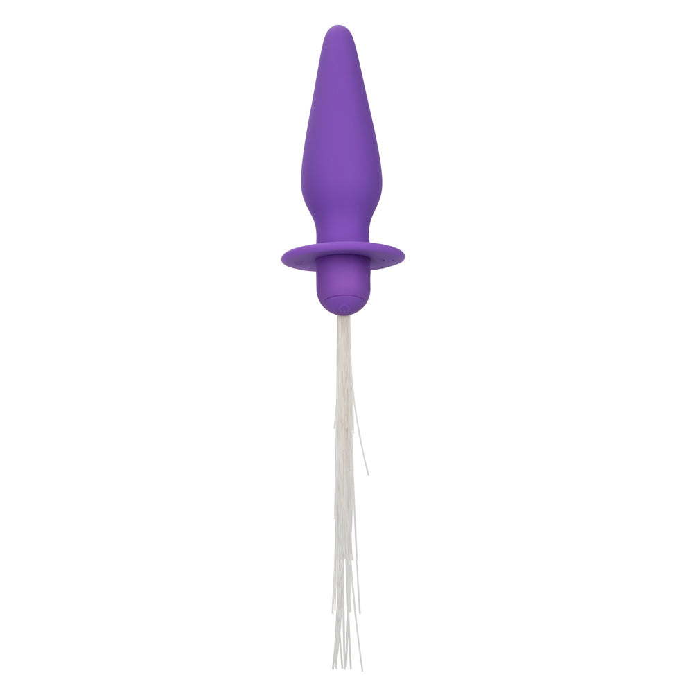Southern Lights - Vibrating Light Up Anal Probe - Purple SE2655153