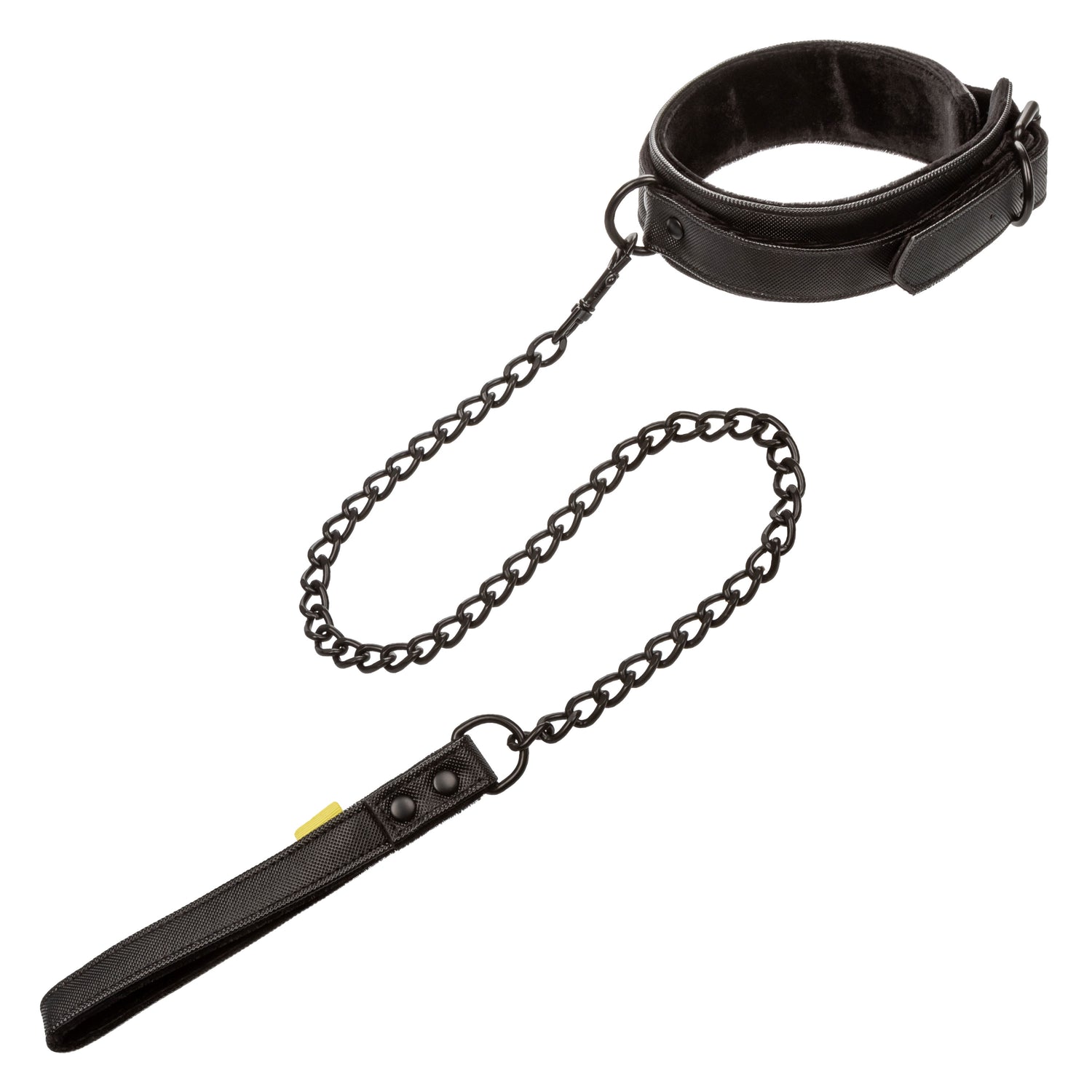 Boundless Collar &amp; Leash SE2702403