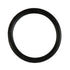 Rubber Ring - Large - Black SE1406032